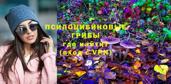 прущие крисы Вязники