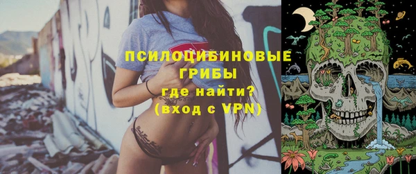 a pvp Вяземский